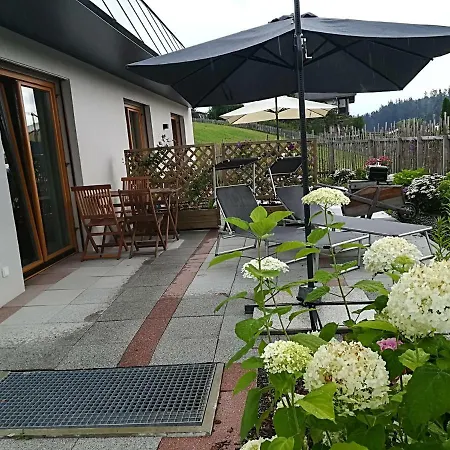 Viktoria Apartament *